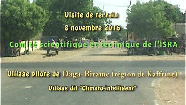 daga birame